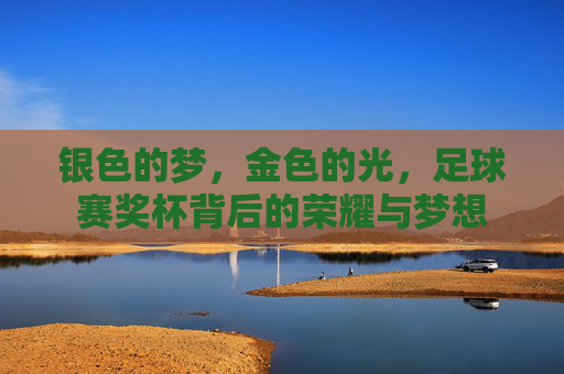 银色的梦,金色的光,足球赛奖杯背后的荣耀与梦想