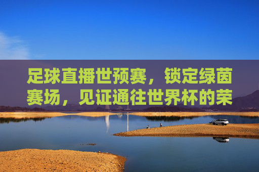 足球直播世预赛,锁定绿茵赛场,见证通往世界杯的荣耀之路