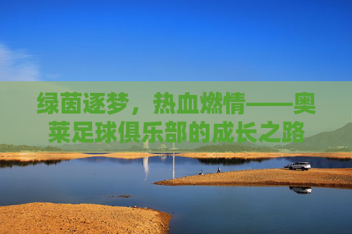 绿茵逐梦,热血燃情——奥莱足球俱乐部的成长之路