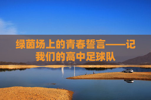 绿茵场上的青春誓言——记我们的高中足球队