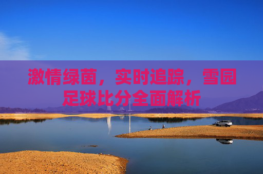 激情绿茵,实时追踪,雪园足球比分全面解析