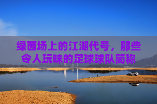 绿茵场上的江湖代号,那些令人玩味的足球球队简称