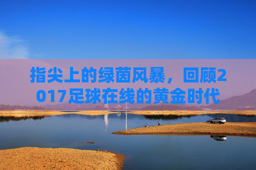 指尖上的绿茵风暴,回顾2017足球在线的黄金时代