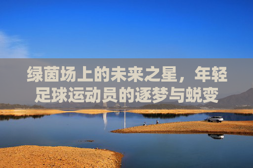 绿茵场上的未来之星,年轻足球运动员的逐梦与蜕变