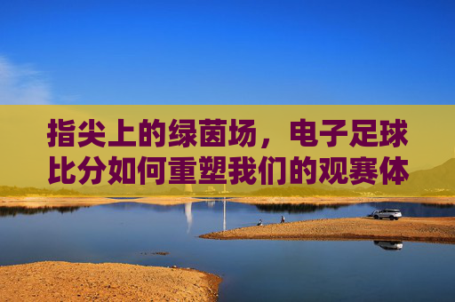 指尖上的绿茵场，电子足球比分如何重塑我们的观赛体验