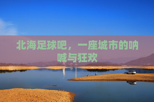 北海足球吧，一座城市的呐喊与狂欢
