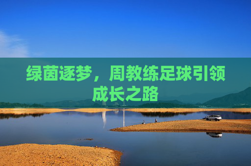 绿茵逐梦，周教练足球引领成长之路