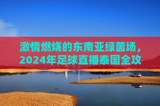 激情燃烧的东南亚绿茵场,2024年足球直播泰国全攻略