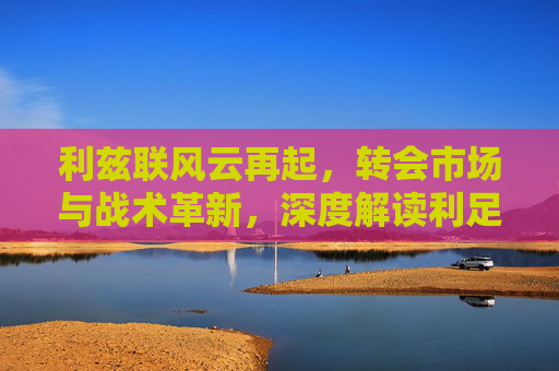 利兹联风云再起,转会市场与战术革新,深度解读利足球新闻背后的焦点