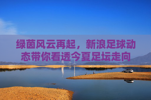 绿茵风云再起,新浪足球动态带你看透今夏足坛走向