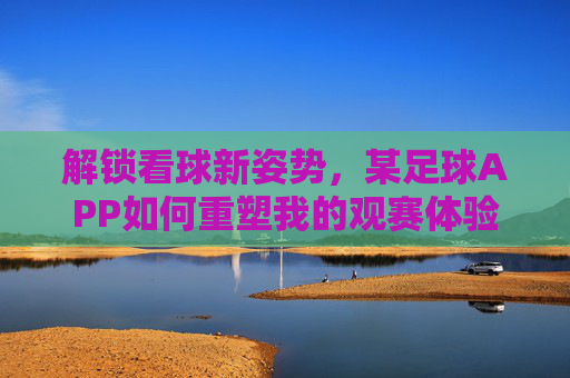 解锁看球新姿势,某足球APP如何重塑我的观赛体验