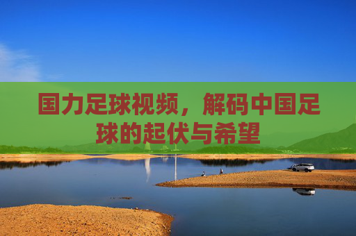国力足球视频,解码中国足球的起伏与希望