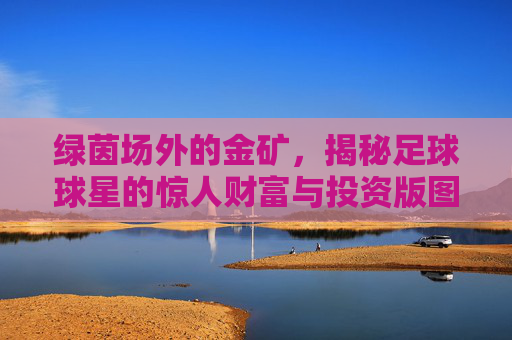 绿茵场外的金矿,揭秘足球球星的惊人财富与投资版图