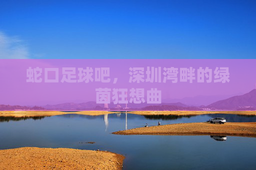 蛇口足球吧,深圳湾畔的绿茵狂想曲