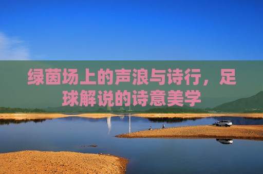 绿茵场上的声浪与诗行,足球解说的诗意美学