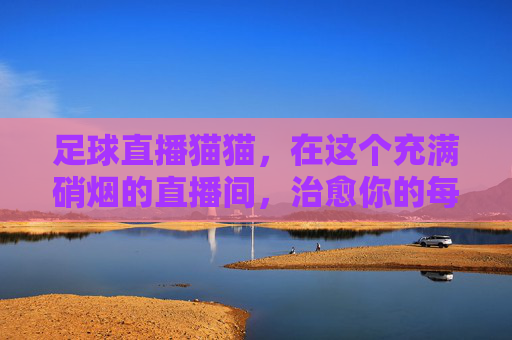 足球直播猫猫,在这个充满硝烟的直播间,治愈你的每一个进球瞬间