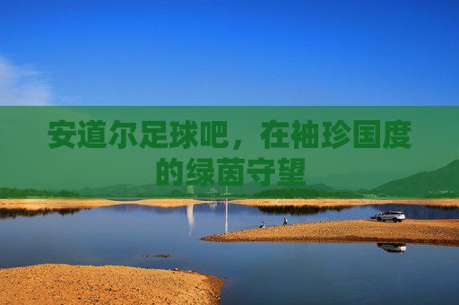 安道尔足球吧,在袖珍国度的绿茵守望