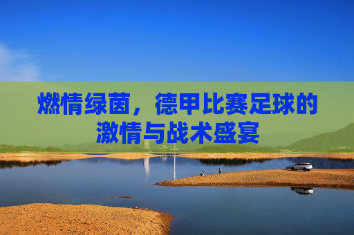 燃情绿茵,德甲比赛足球的激情与战术盛宴