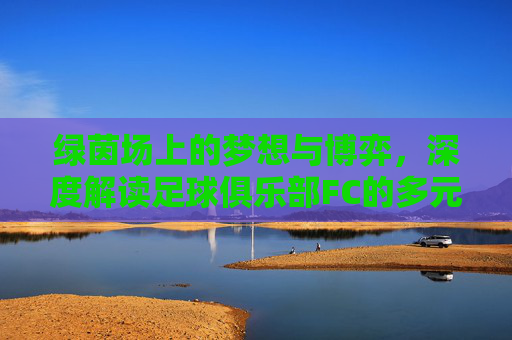 绿茵场上的梦想与博弈,深度解读足球俱乐部FC的多元魅力