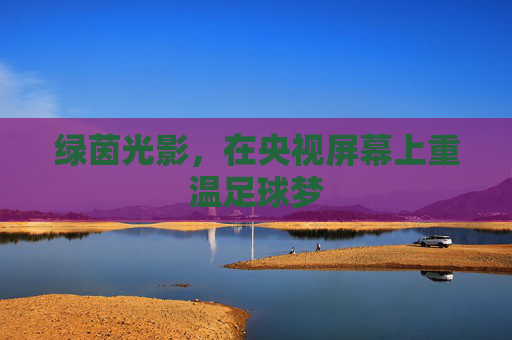 绿茵光影,在央视屏幕上重温足球梦