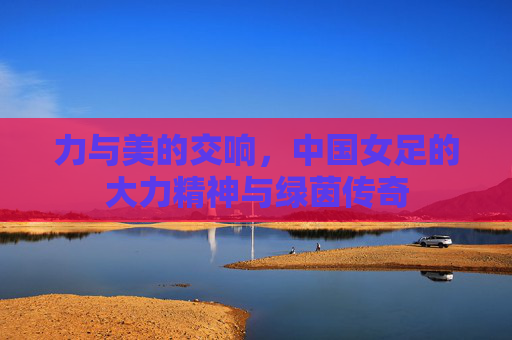 力与美的交响,中国女足的大力精神与绿茵传奇