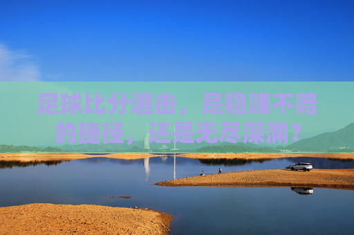 足球比分追击,是稳赚不赔的捷径,还是无尽深渊?