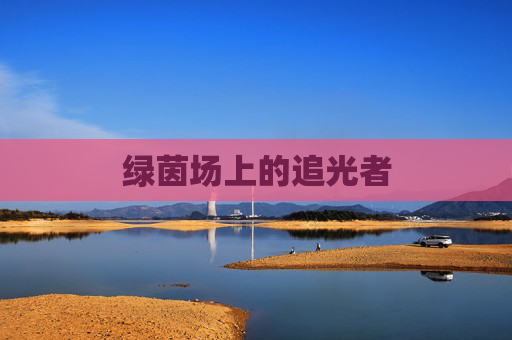绿茵场上的追光者