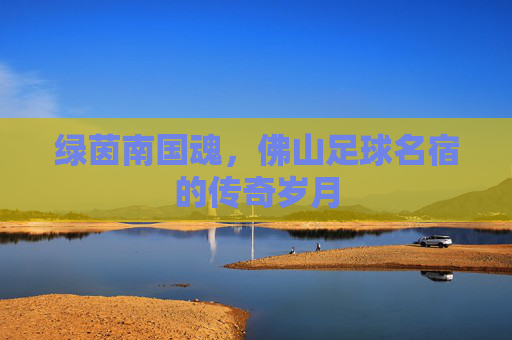 绿茵南国魂，佛山足球名宿的传奇岁月