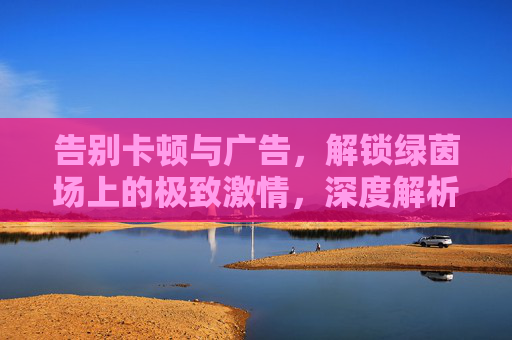 告别卡顿与广告,解锁绿茵场上的极致激情,深度解析足球视频会员的价值