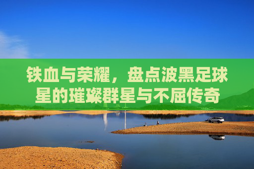 铁血与荣耀,盘点波黑足球星的璀璨群星与不屈传奇
