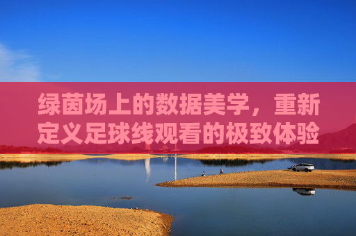 绿茵场上的数据美学,重新定义足球线观看的极致体验