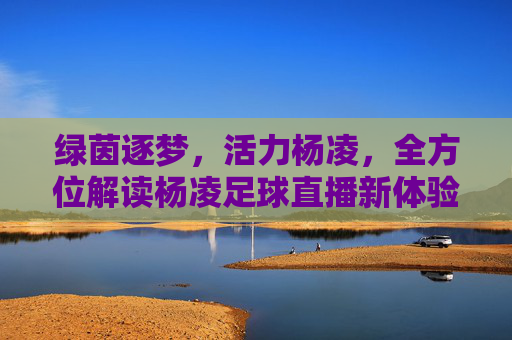 绿茵逐梦,活力杨凌,全方位解读杨凌足球直播新体验