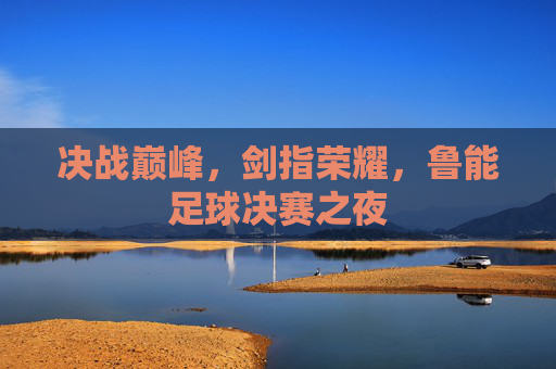 决战巅峰,剑指荣耀,鲁能足球决赛之夜