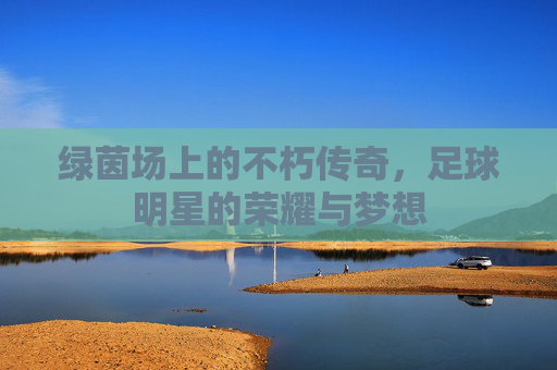 绿茵场上的不朽传奇,足球明星的荣耀与梦想