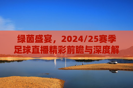 绿茵盛宴，2024/25赛季足球直播精彩前瞻与深度解析