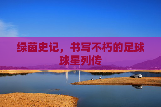 绿茵史记,书写不朽的足球球星列传