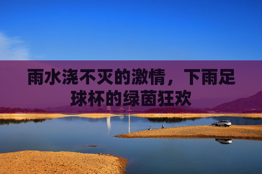雨水浇不灭的激情,下雨足球杯的绿茵狂欢