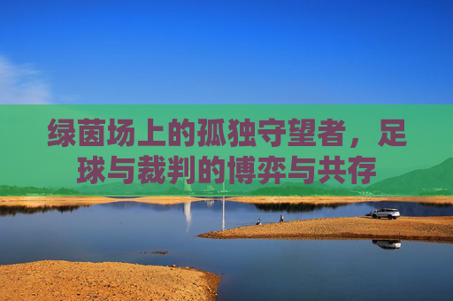 绿茵场上的孤独守望者,足球与裁判的博弈与共存