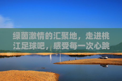 绿茵激情的汇聚地,走进桃江足球吧,感受每一次心跳