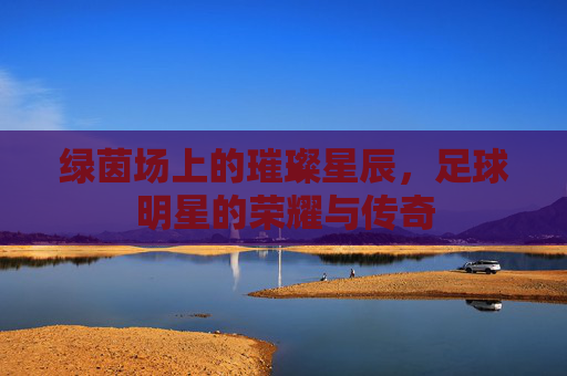 绿茵场上的璀璨星辰,足球明星的荣耀与传奇