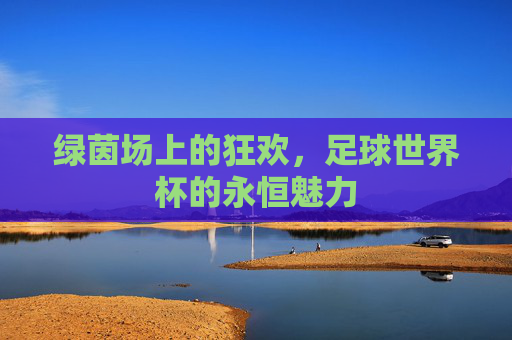 绿茵场上的狂欢,足球世界杯的永恒魅力
