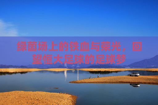 绿茵场上的铁血与荣光,回望恒大足球的足球梦