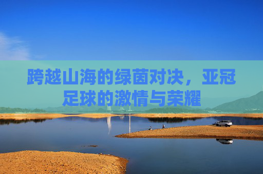跨越山海的绿茵对决,亚冠足球的激情与荣耀