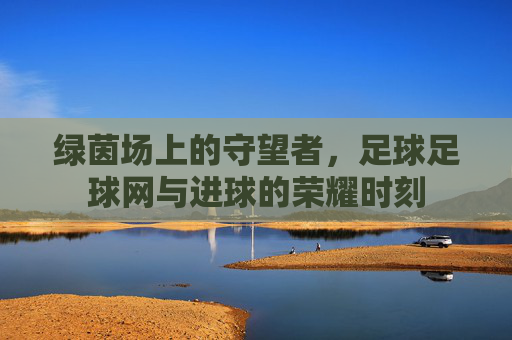 绿茵场上的守望者,足球足球网与进球的荣耀时刻