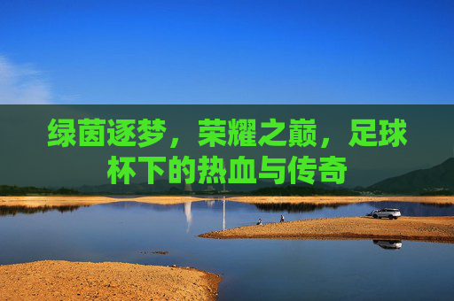 绿茵逐梦,荣耀之巅,足球杯下的热血与传奇