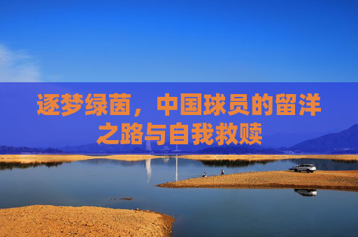 逐梦绿茵,中国球员的留洋之路与自我救赎