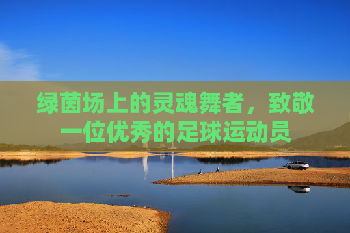 绿茵场上的灵魂舞者,致敬一位优秀的足球运动员