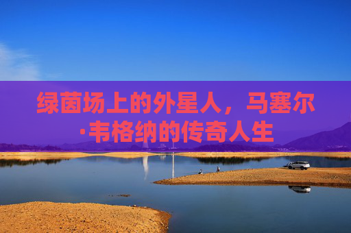 绿茵场上的外星人,马塞尔·韦格纳的传奇人生