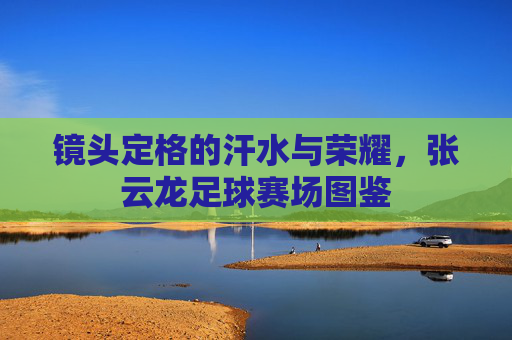 镜头定格的汗水与荣耀，张云龙足球赛场图鉴