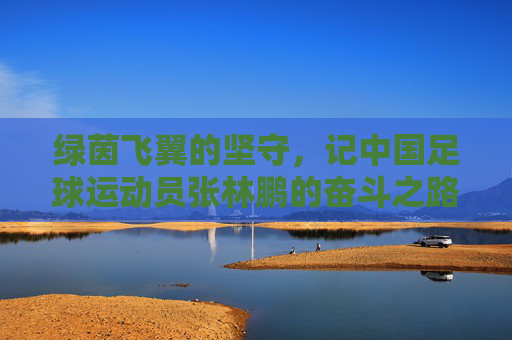 绿茵飞翼的坚守,记中国足球运动员张林鹏的奋斗之路